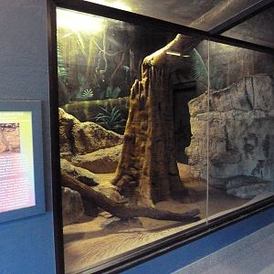 Argus Monitor Exhibit