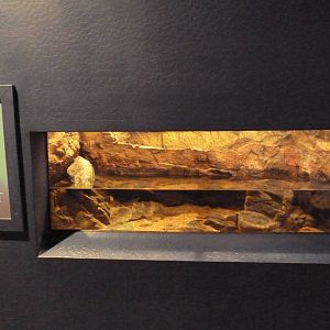 Figure 8 Puffer Exhibit