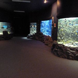 Four Different Ecosystem Exhibits