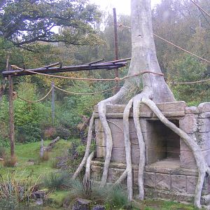 Siamang gibbon enclosure at Marwell Wildlife, 30 October 2011