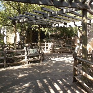 Texas Wild! Predator exhibits