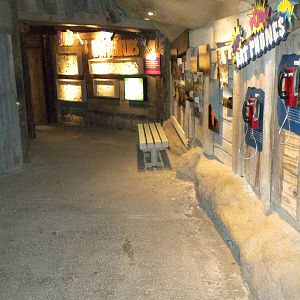 Texas Wild! Bug exhibits