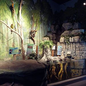 South American Exhibit