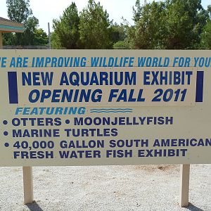 Aquarium #4 Sign