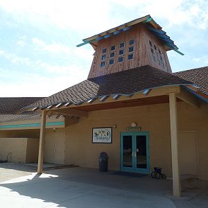 Aquarium #2 - The Wild + The Wonderful