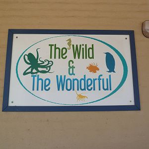 Aquarium #2 - The Wild + The Wonderful