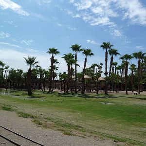 Petting Zoo + Children's Play Area