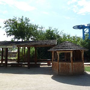 Train Station + Skyride