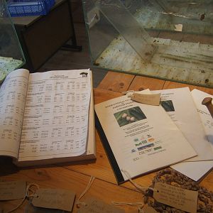 View of Partula Snail studbook