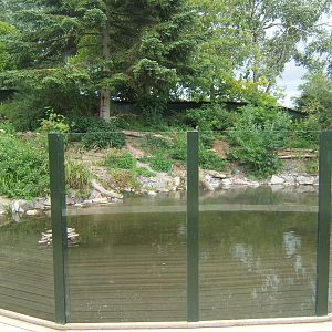 View of part of the North American River Otter exhibit