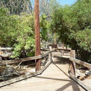 African Walk-Through Aviary