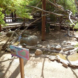 African Walk-Through Aviary