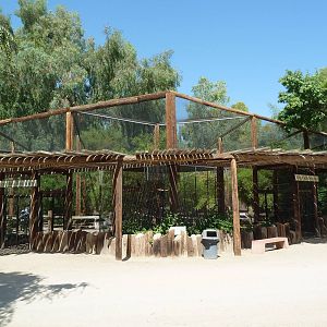 African Walk-Through Aviary