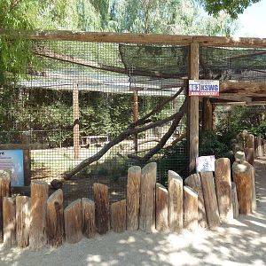 Leopard Exhibit