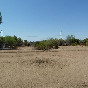 Grant's Zebra Exhibit