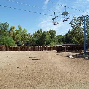 Arabian Oryx Exhibit