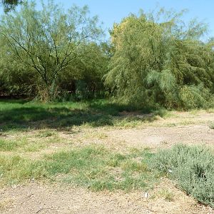 Chinese Water Deer/Blue Crane Exhibit