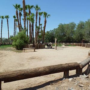White Rhino Exhibit