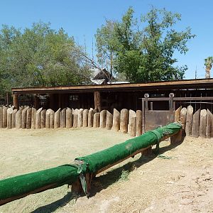 White Rhino Barn