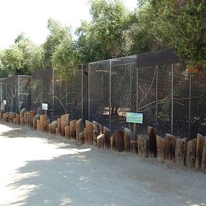 Bird Aviaries