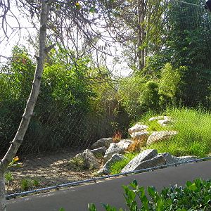Maned wolf exhibit. (old takin exhibit)