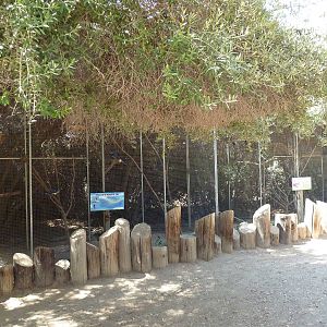 Bird Aviaries (2 Species)