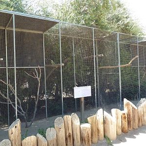 Bird Aviaries (2 Species)