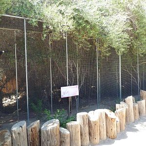 Bird Aviaries (2 Species)