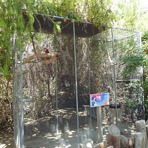 Macaw Exhibit