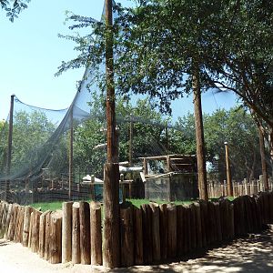 Andean Condor Exhibit