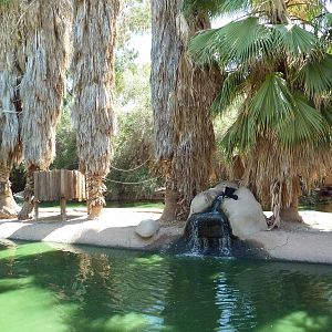 White-Faced Capuchin Exhibit