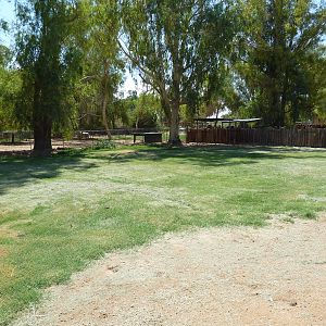 Defassa Waterbuck Exhibit