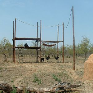 Mystic Monkeys Wildlife Park