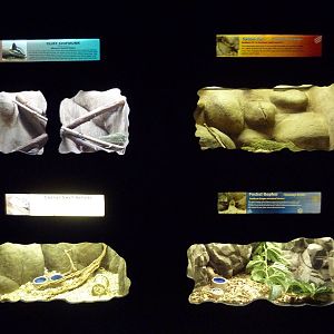 Small Mammal House (4 Exhibits)