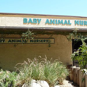 Baby Animal Nursery