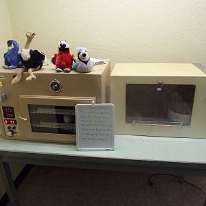 Baby Animal Nursery - Incubator
