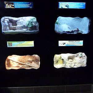 Reptile House - 4 Exhibits