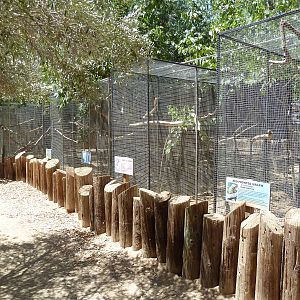 Bird Aviaries (5 Species)