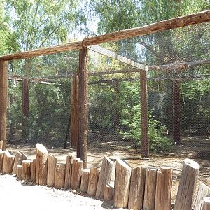 White-Naped Crane Exhibit