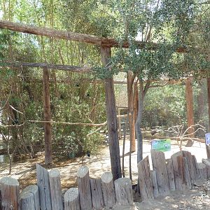 Demoiselle Crane/Silver Pheasant Exhibit