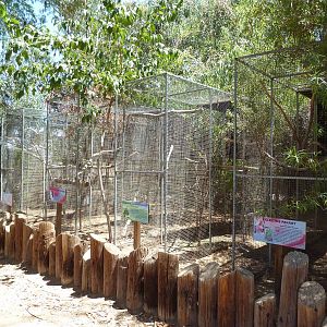 Bird Aviaries (5 Species)
