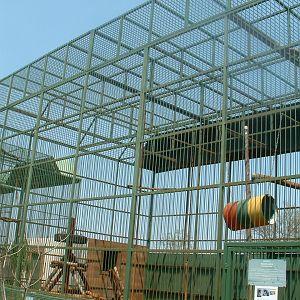 Mystic Monkeys Wildlife Park