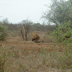 Kruger National Park