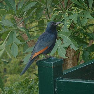 Kruger National Park