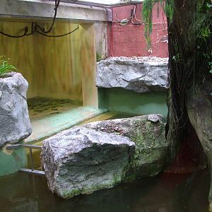 Indoor Hippo Exhibit at Halle 04/09/11
