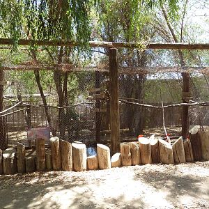 Scarlet Ibis Exhibit