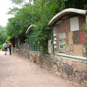 Rodent Exhibits at Halle, 04/09/11
