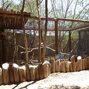 White Ibis/Abdim's Stork Exhibit