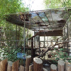 African Leopard Exhibit