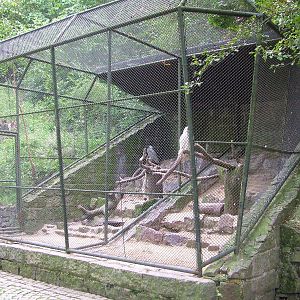 Owl Aviary at Halle, 04/09/11